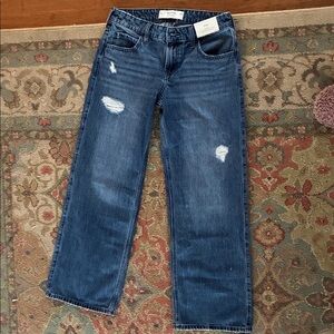 Hollister Baggy Low-Rise Jeans